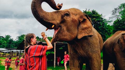 Northern Thailand Adventure - November 2026