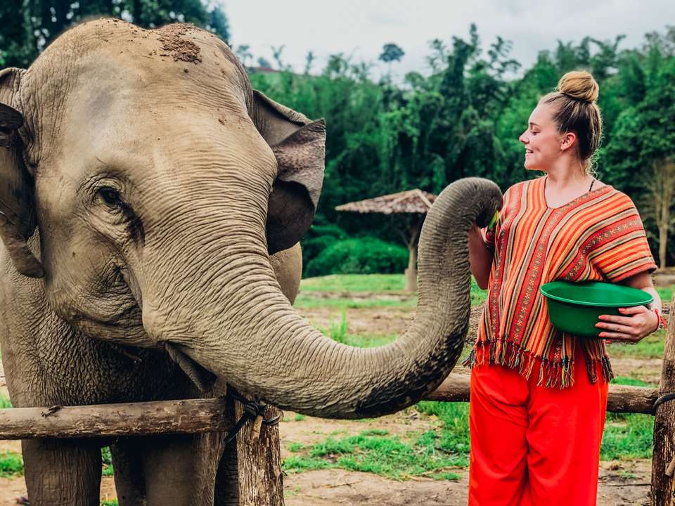 Northern Thailand Adventure - Trutravels - Thailand - Image 3