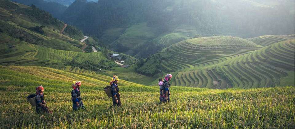 Northern Thailand Hike & Homestays - World Expeditions - Thailand - Image 4