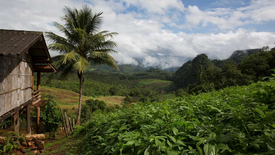 Northern Thailand Hilltribes Trek - G Adventures - Thailand - Image 2