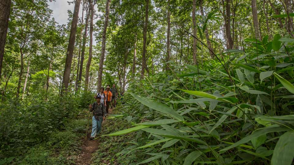 Northern Thailand Hilltribes Trek - G Adventures - Thailand - Image 4