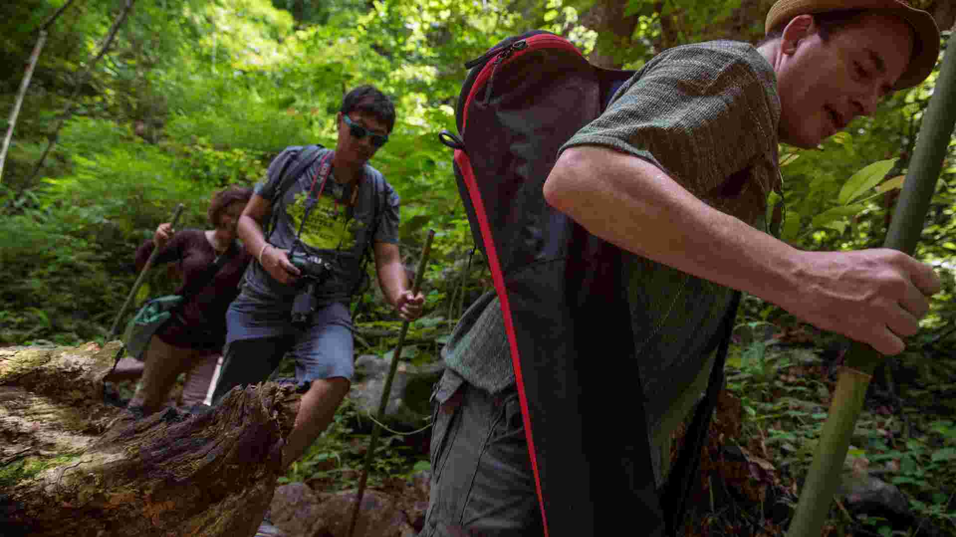Northern Thailand Hilltribes Trek