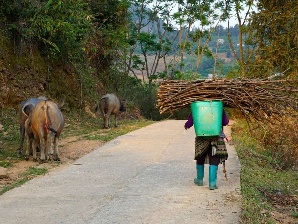 Northern Vietnam Adventure - 13 days - On The Go Tours - Vietnam - Image 3