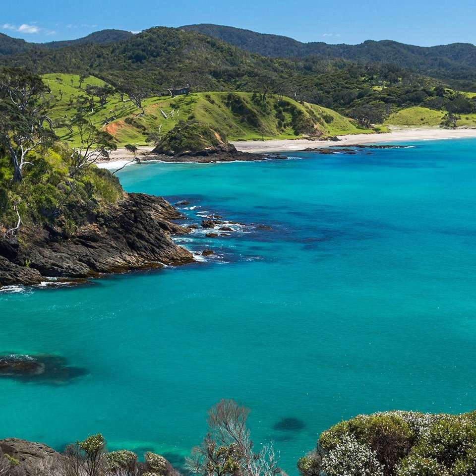 Northern Wonders - Aat Kings - New Zealand - Image 2