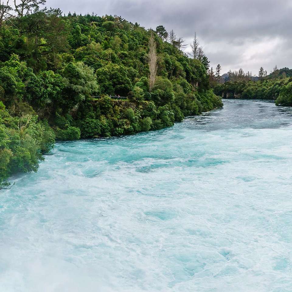 Northern Wonders - Aat Kings - New Zealand - Image 3