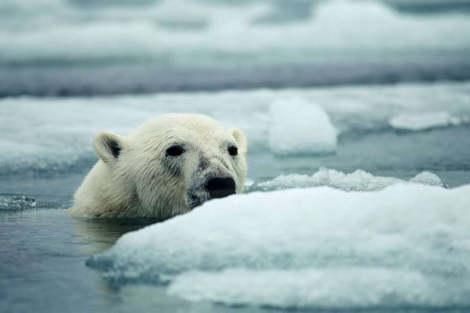 Northwest Passage: Epic High Arctic - Exodus Adventure Travels - Canada - Image 20