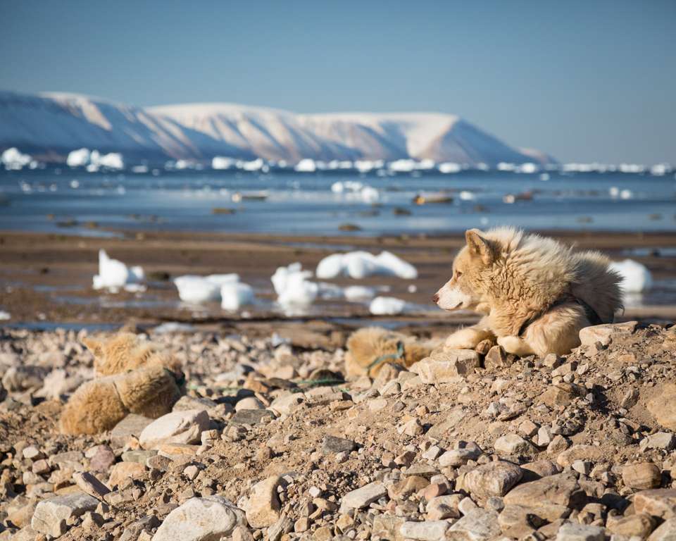 Northwest Passage: Epic High Arctic - Exodus Adventure Travels - Canada - Image 10