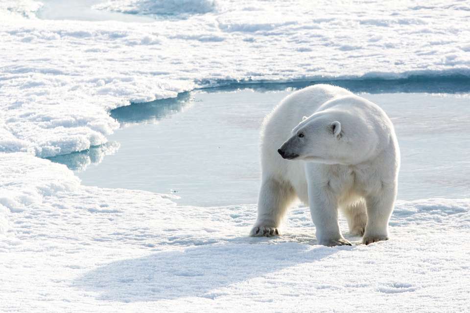 Northwest Passage: The Legendary Arctic Sea Route (Ultramarine) - Exodus Adventure Travels - Iceland - Image 3