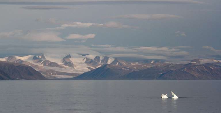 Northwest Passage to Newfoundland: Glaciers, Mountains, and Wildlife trip - alternative tour available