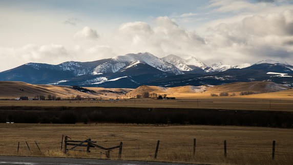 Image 5 of 5
