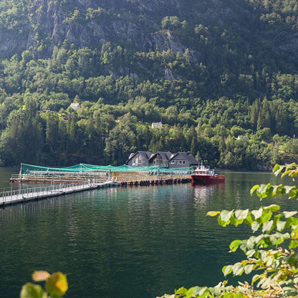 Norway: Fjords and Glaciers - Back-roads Touring - Norway - Image 4