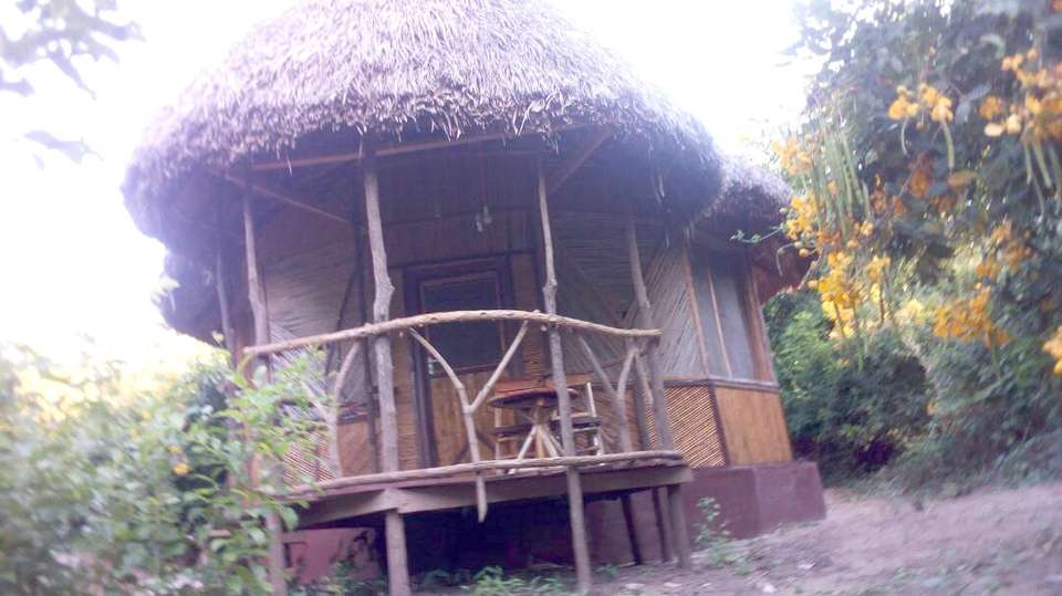 Nyerere National Park budget safari - Kanuth Adventures Safari - Tanzania - Image 7