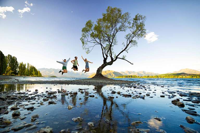 NZ Intro South trip - alternative tour available