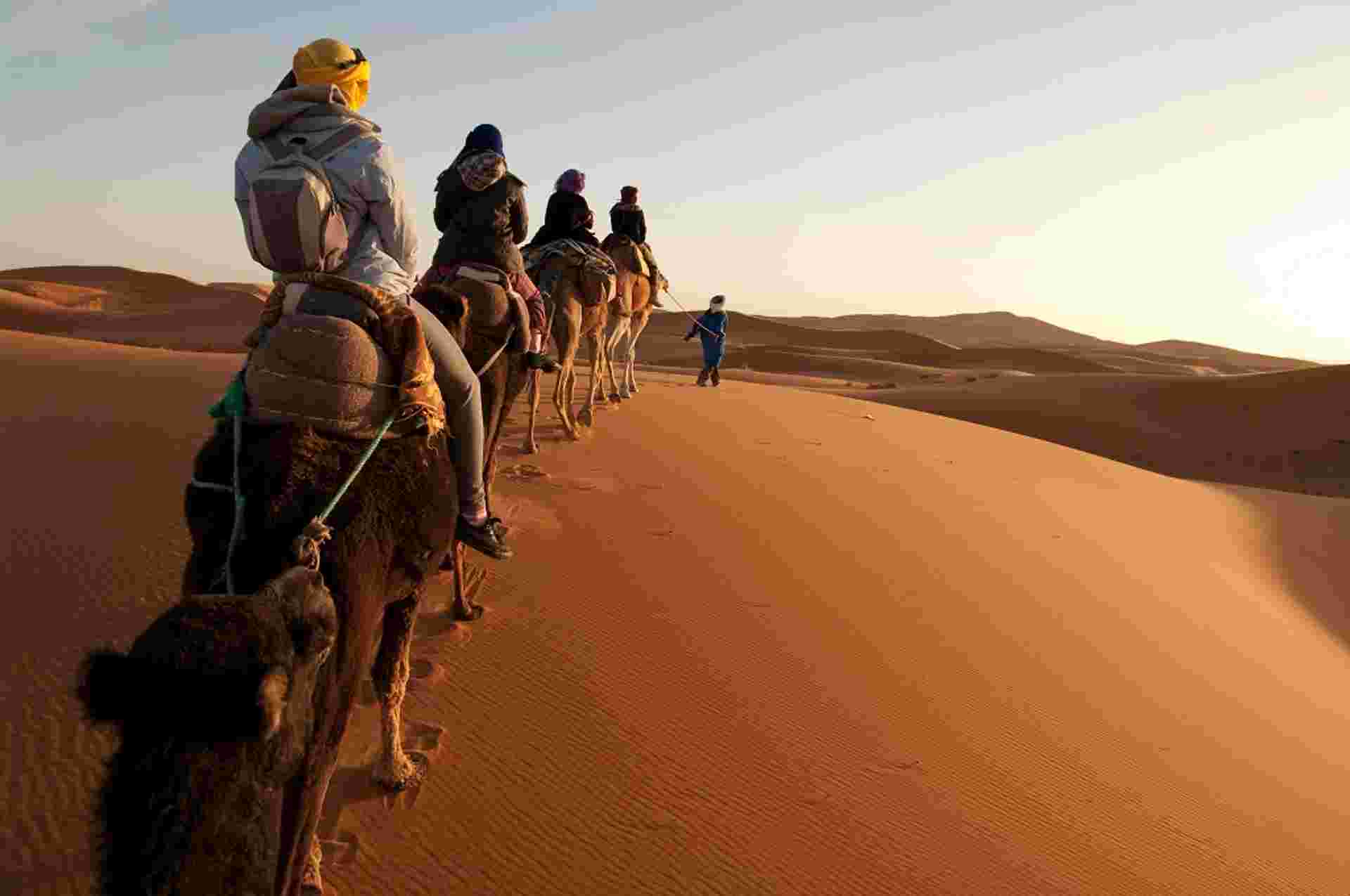 Oasis & Desert, 2 Days, Private Tour