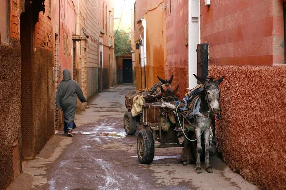 Oasis & Desert, 2 Days, Private Tour - Destination Services - Morocco - Image 2