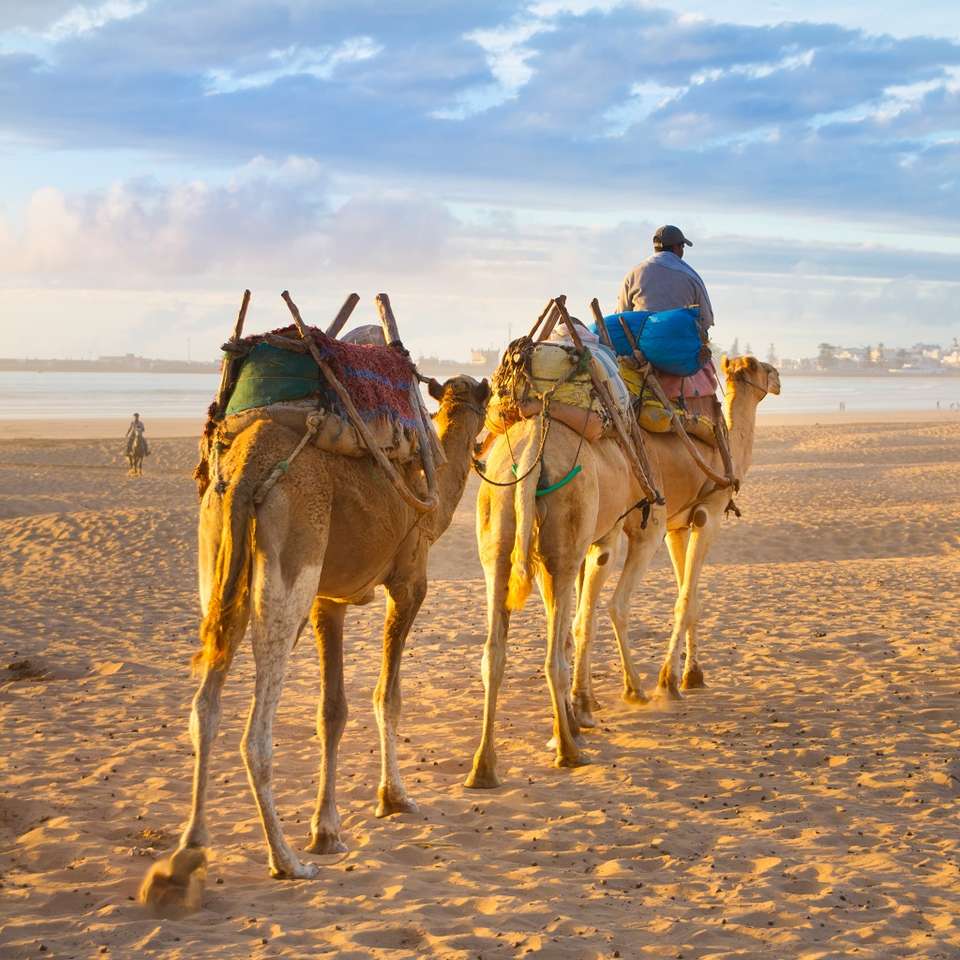 Oasis & Desert, 2 Days, Private Tour - Destination Services - Morocco - Image 3