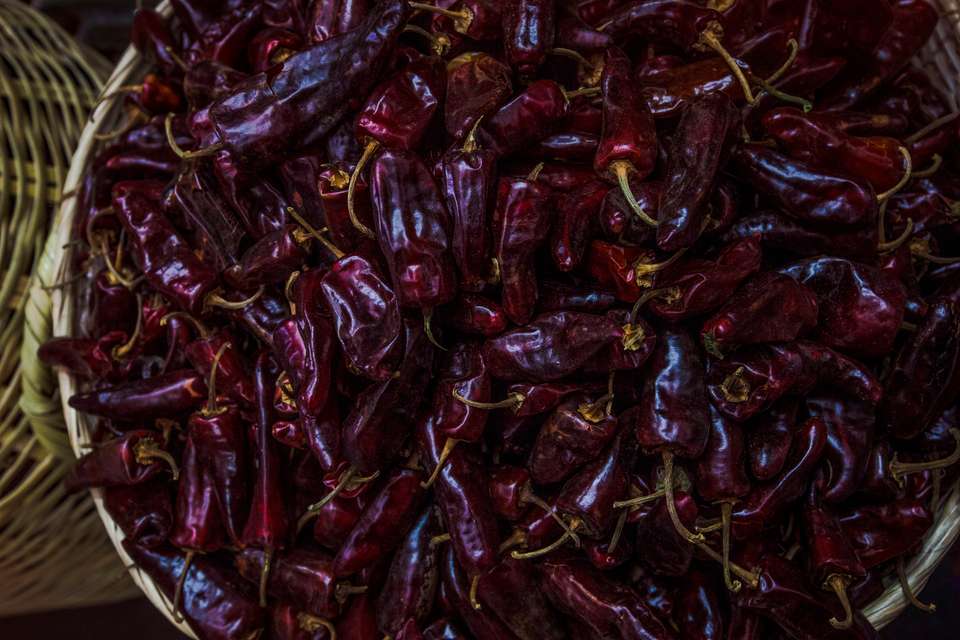 Oaxaca to Puerto Escondido: Day of the Dead - G Adventures - Mexico