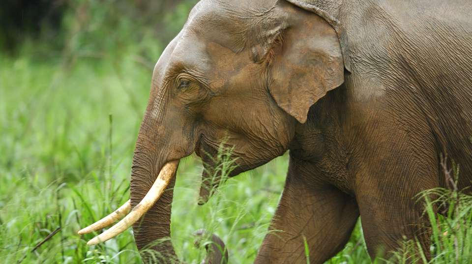 Off The Beaten Path - Exemplary Voyages Pvt Ltd - Sri Lanka - Image 6