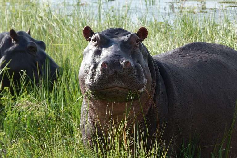 Okavango & Beyond trip - alternative tour available