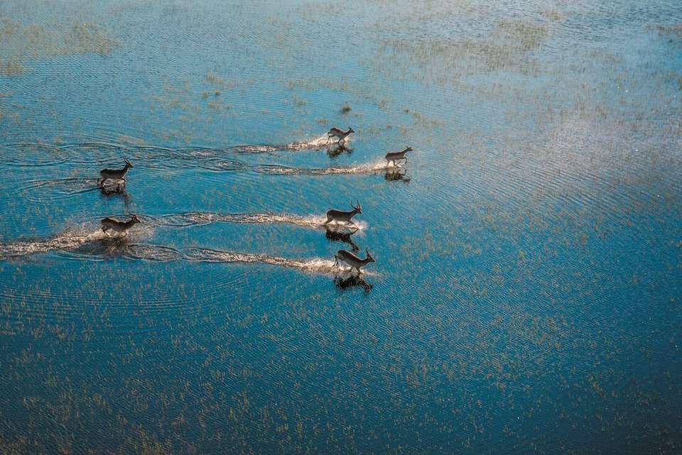Okavango & Beyond - Intrepid Travel - Zimbabwe - Image 7