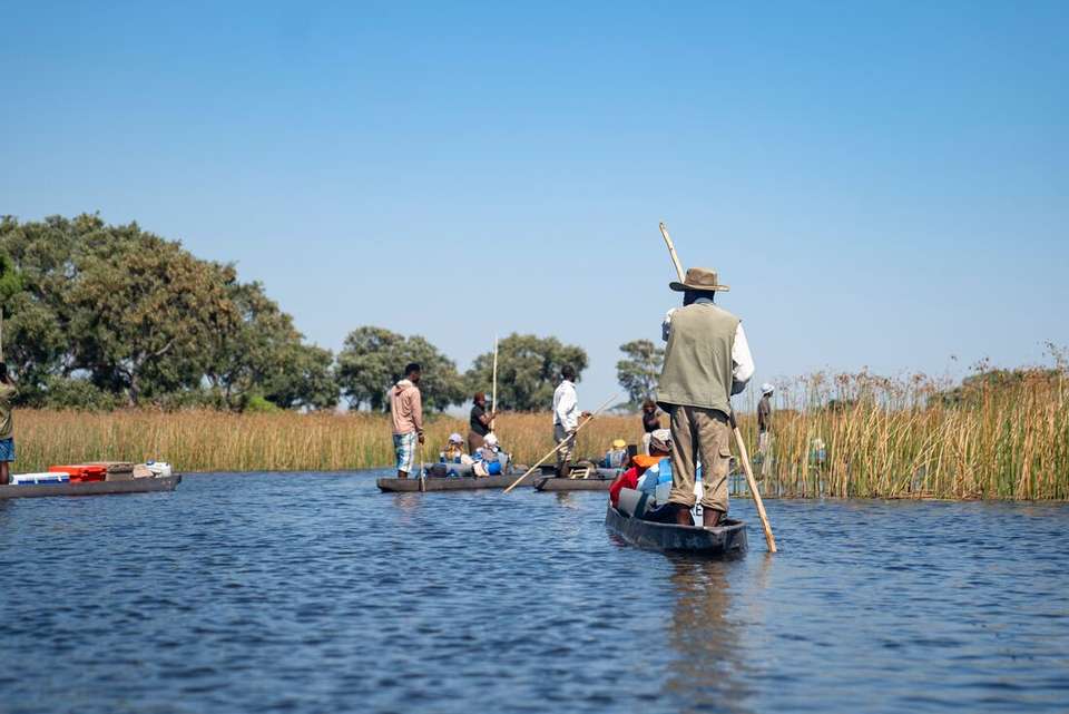 Okavango & Beyond - Intrepid Travel - Zimbabwe - Image 13