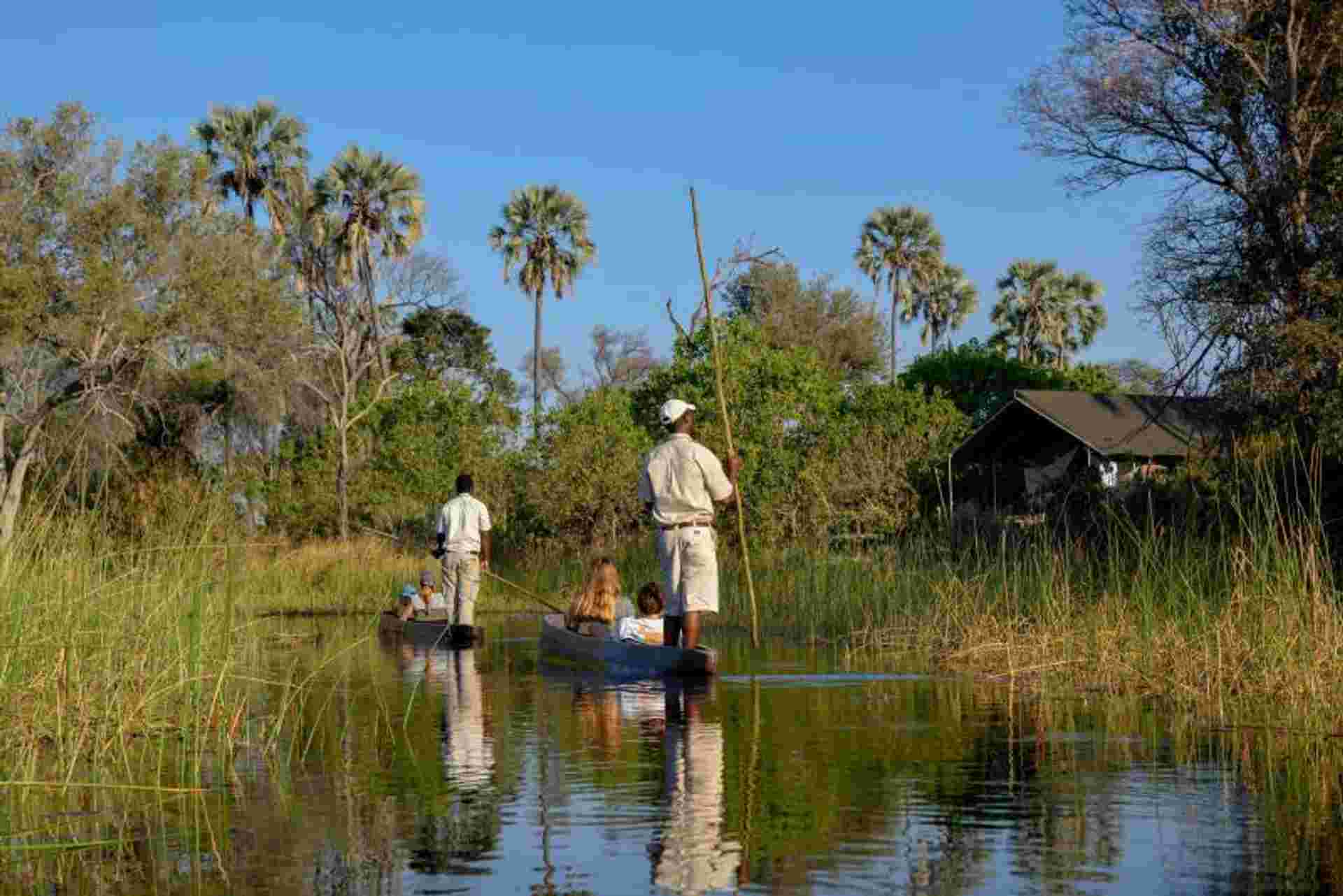 Okavango & Chobe - 2026
