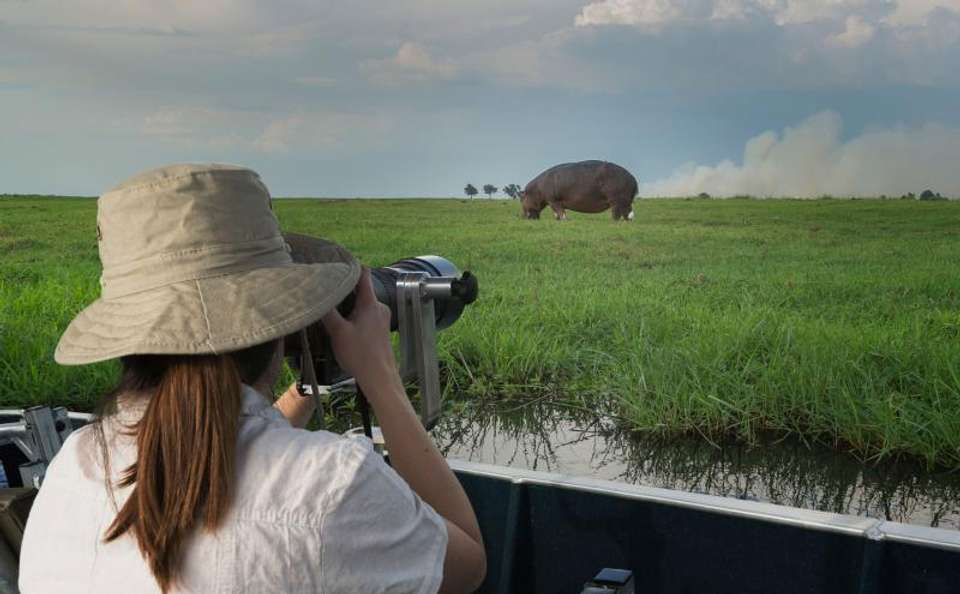 Okavango & Chobe - Encounters Travel - South Africa - Image 6