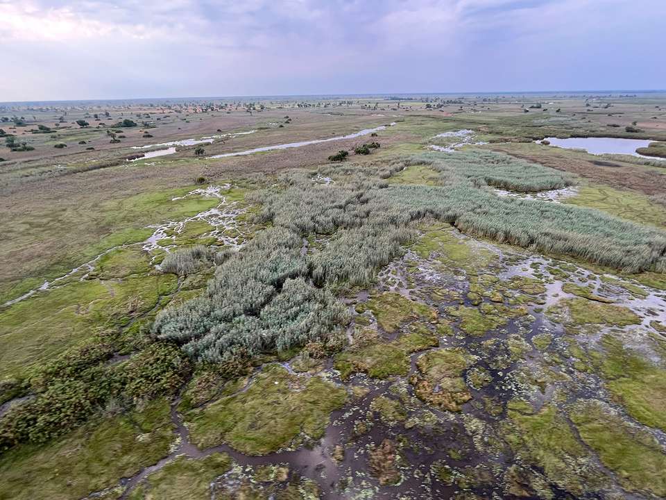 Okavango & Chobe Discovery (Accommodated) - 8 days - On The Go Tours - Namibia