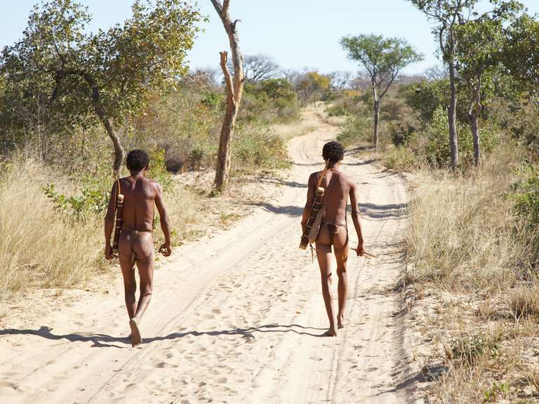 Okavango & Chobe Discovery (Accommodated) - 8 days trip - alternative tour available