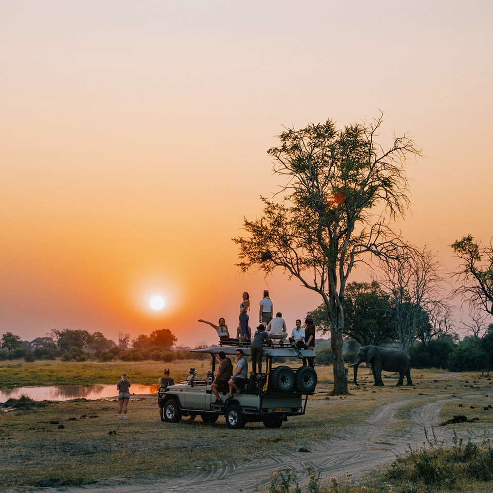 Okavango Delta and Deserts 35 to 45 - Contiki - Botswana - Image 6