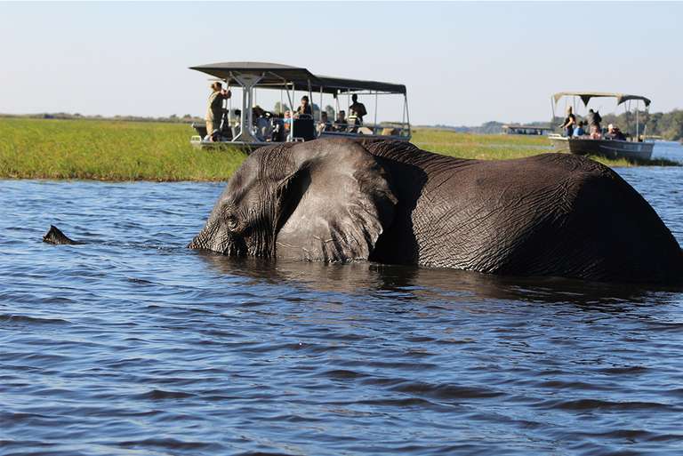 Africa Wildlife safaris and game drives Tour: Okavango Experience