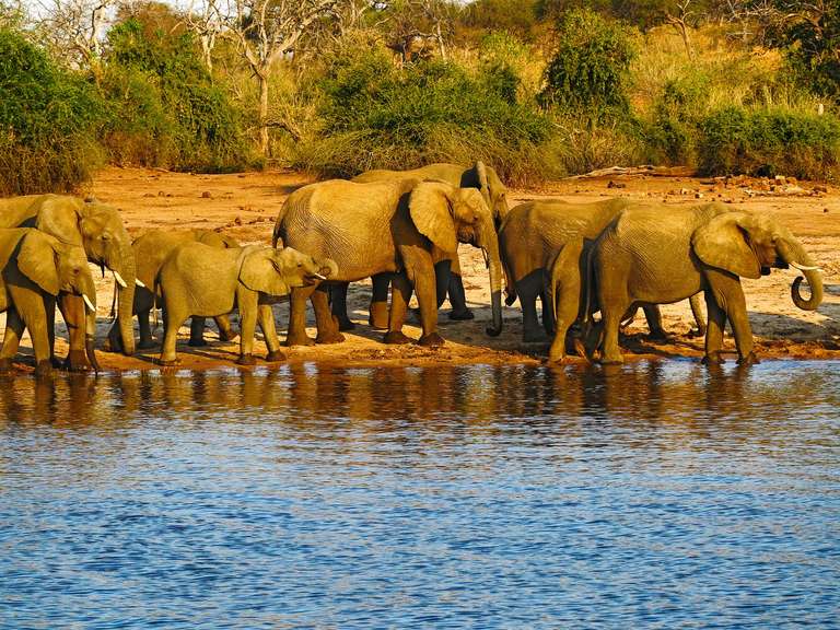 Okavango Wilderness Discovery - 7 Days  trip - alternative tour available