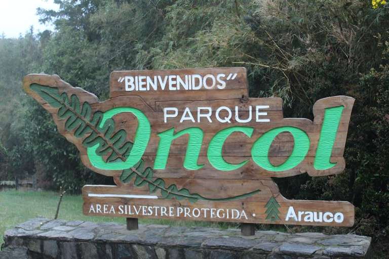Oncol Park in Valdivia History & Nature Trails trip - alternative tour available