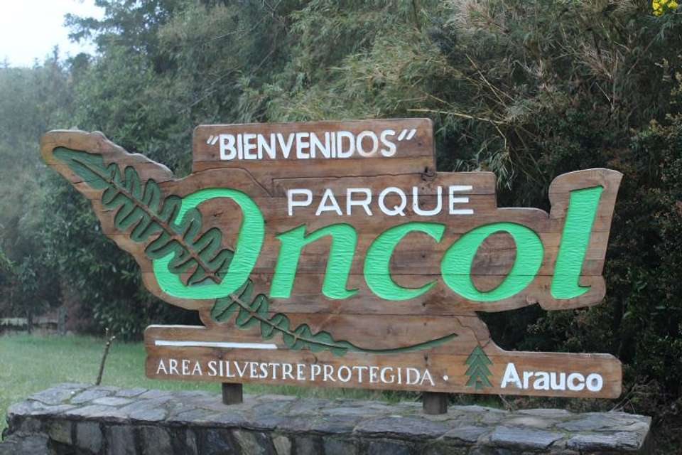 Oncol Park in Valdivia History & Nature Trails - Tangol Tours - Chile - Image 1