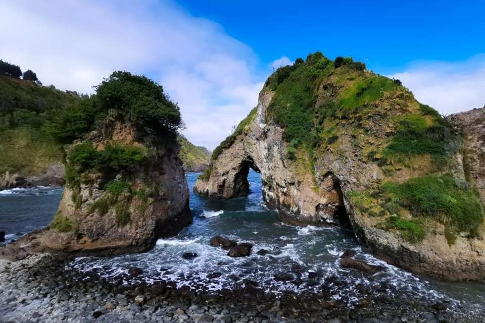 Oncol Park in Valdivia History & Nature Trails - Tangol Tours - Chile - Image 3