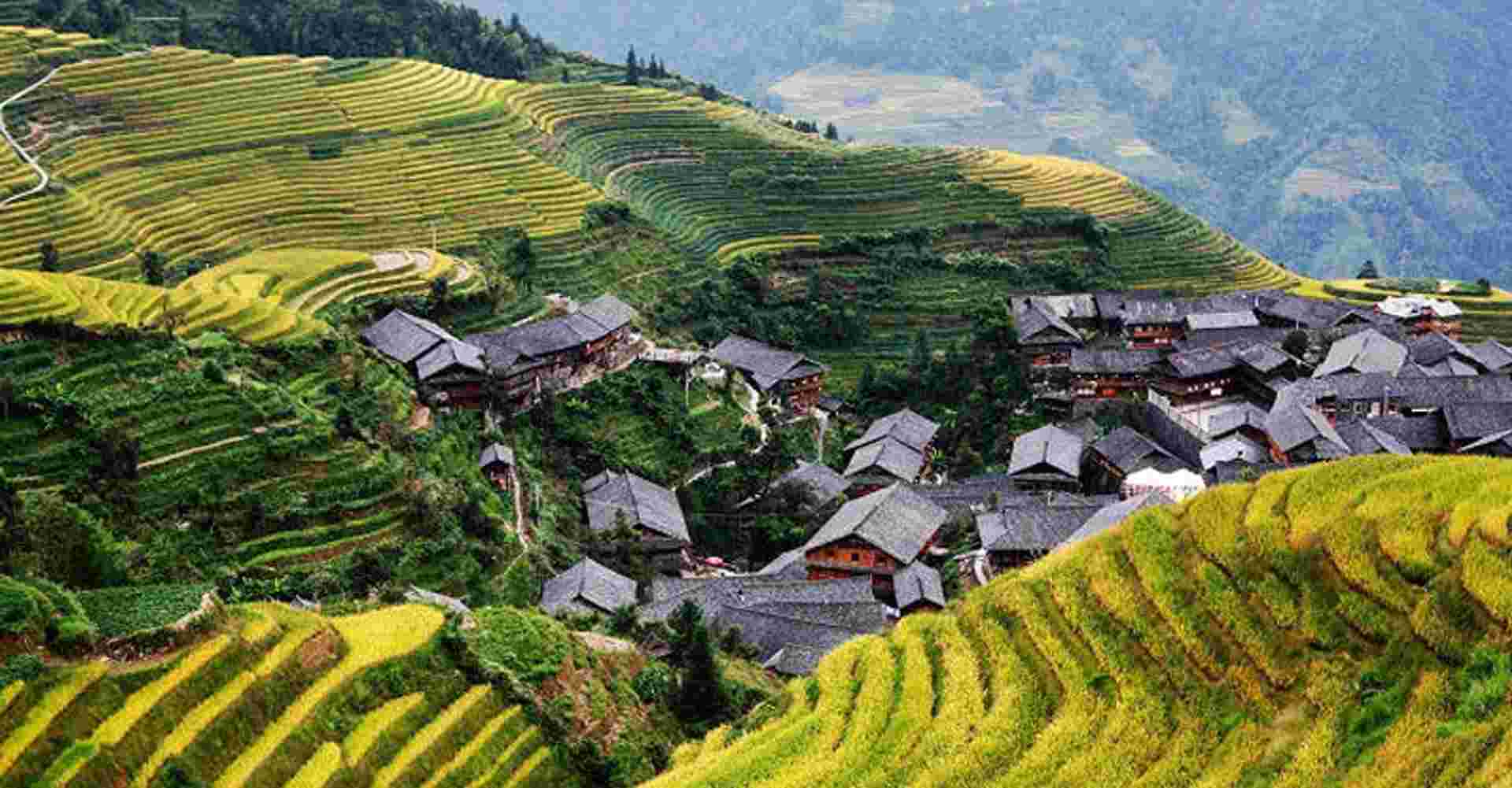 One Day Longji Rice Terraces Tour
