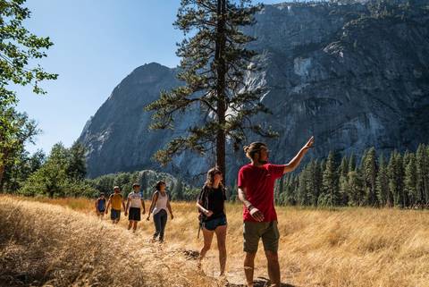 North America Group Tours: One Week From San Francisco To Vegas
