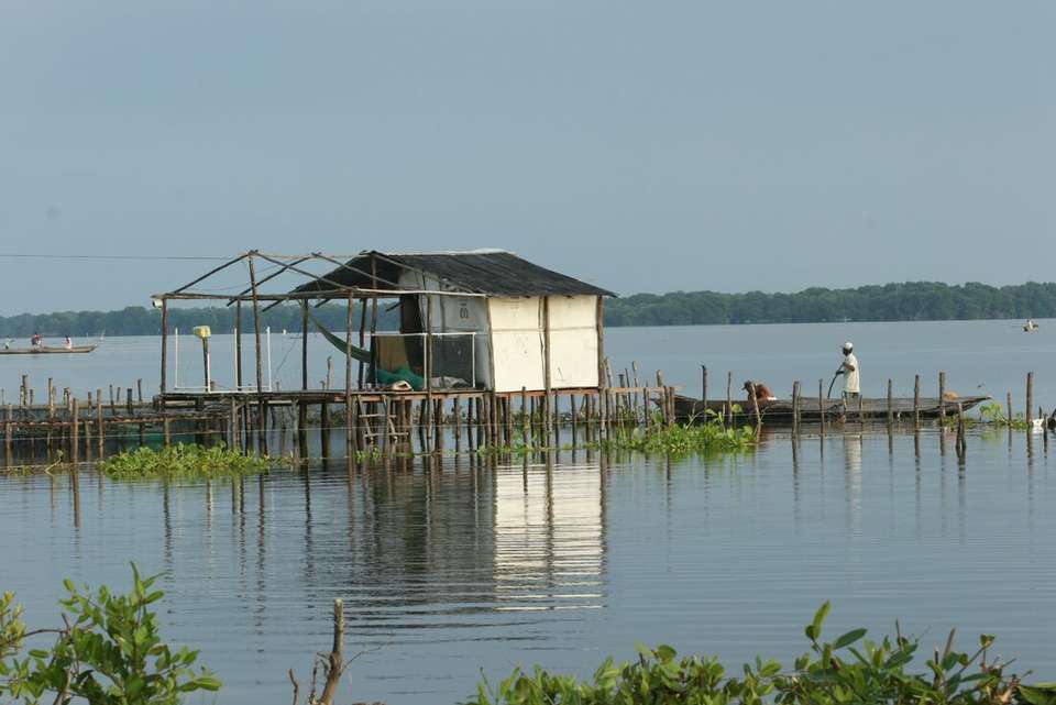 One Week in Colombia - Intrepid Travel - Colombia - Image 8