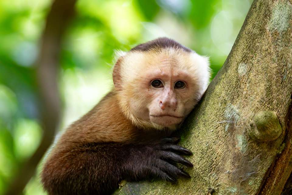 One Week in Colombia - Intrepid Travel - Colombia - Image 10