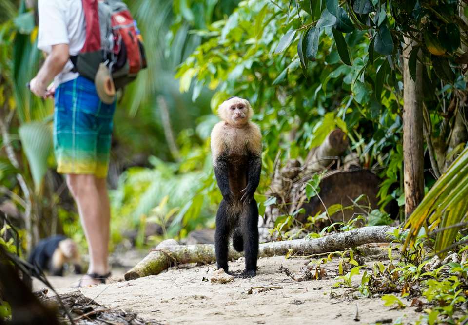 One Week In Costa Rica - Intrepid Travel - Costa Rica - Image 2