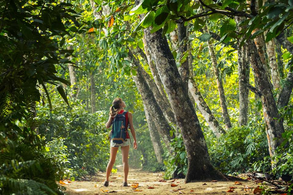 One Week In Costa Rica - Intrepid Travel - Costa Rica - Image 3