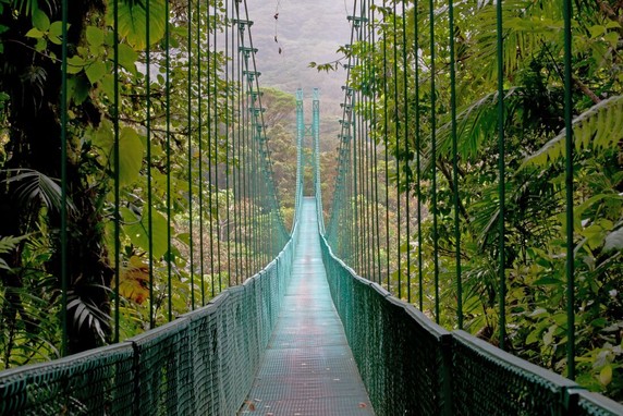 Image 5 of 14