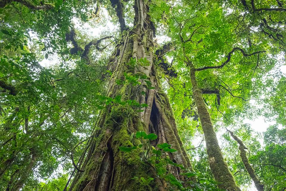 One Week In Costa Rica - Intrepid Travel - Costa Rica - Image 9
