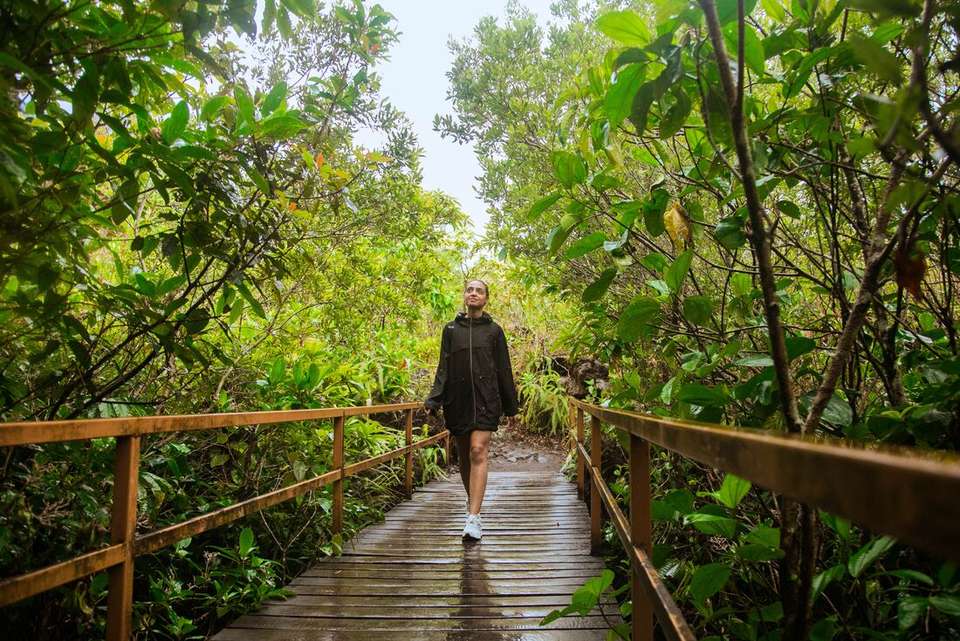 One Week In Costa Rica - Intrepid Travel - Costa Rica - Image 10