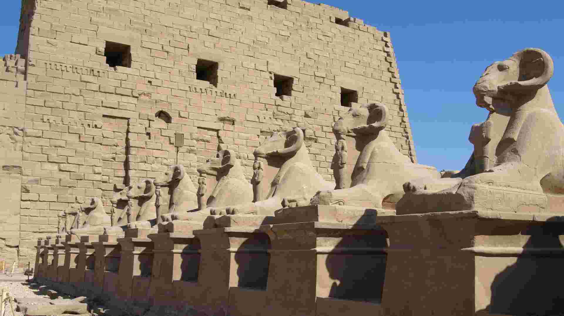 One Week In Egypt