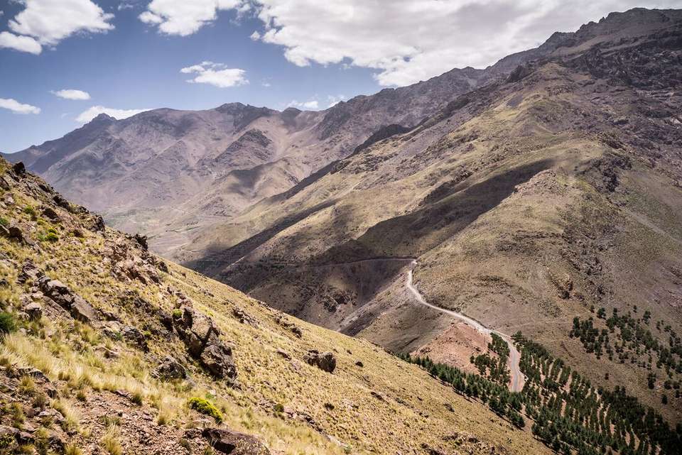 One Week in Morocco: Sahara & Todra Gorge - Intrepid Travel - Morocco - Image 8