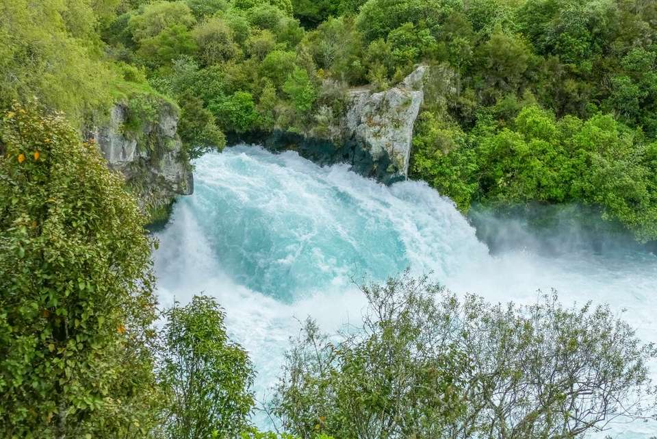 One Week in New Zealand: North Island - Intrepid Travel - New Zealand - Image 10