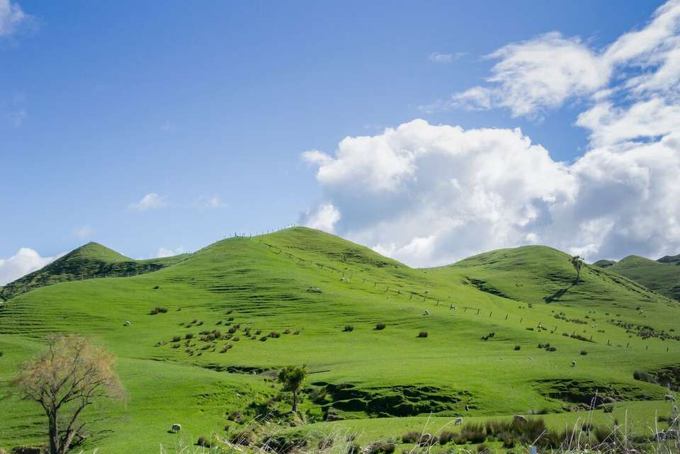 One Week in New Zealand: North Island - Intrepid Travel - New Zealand - Image 6