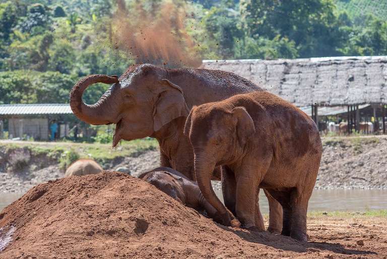 One Week in Northern Thailand - May 2026