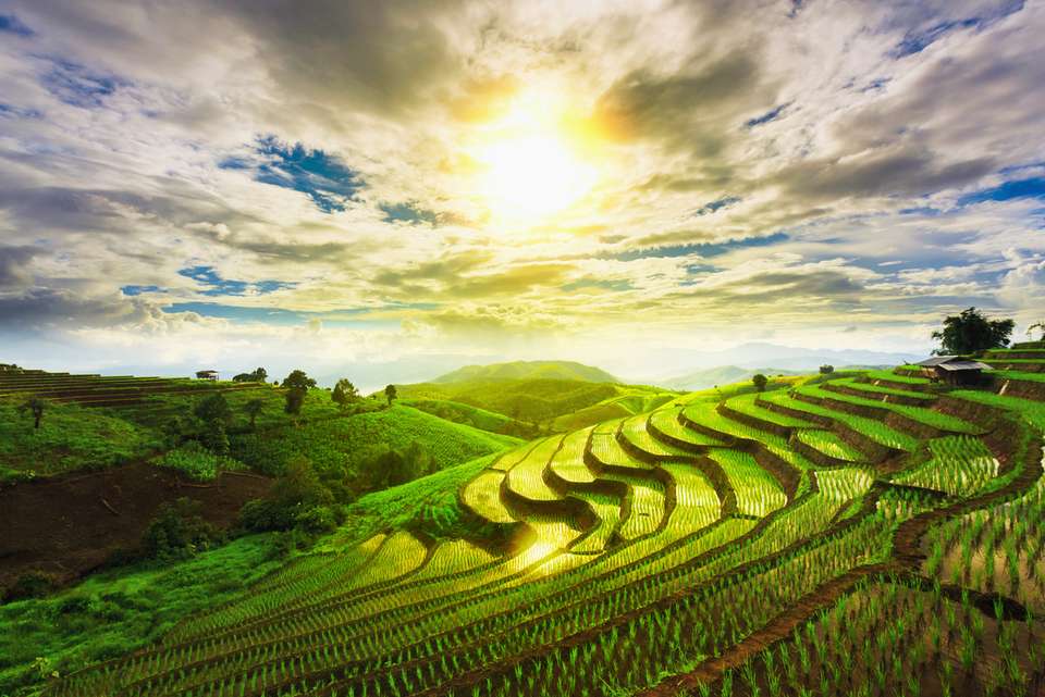 One Week in Northern Thailand - Intrepid Travel - Thailand - Image 4
